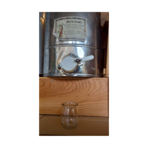 Miel de Tomillo - 1 kilo